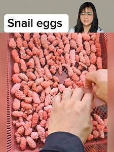 4.2K views · 19 reactions | Collecting snail eggs.. #viralpost2025 #fbpost2025 #ideas #foryou #popular #virals #trending #justforfun #entertainment #reaction | Roseate C Basalo | Facebook