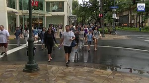 11K views · 67 reactions | A new report says adults over the age of 50 were three times more likely to get struck on Hawaii's roadways than younger walkers. READ MORE: https://buff.ly/2Xjol9M #HINews #HNN | Hawaii News Now | Facebook