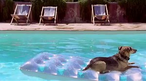 13K views · 557 reactions | Summer goal | Redbook Magazine | Facebook