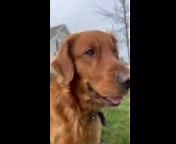 The Last Resort Rescue on Reels