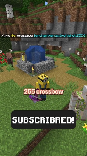 insane minecraft commands...