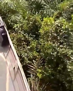 119K views · 1.1K reactions | Welcome to Amazon River! | Life At Sea | Facebook