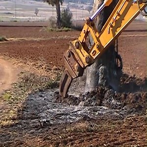 6.2K views · 38 reactions | Remove Giant Tree Stumps With Excavator | Giant Machine | Facebook