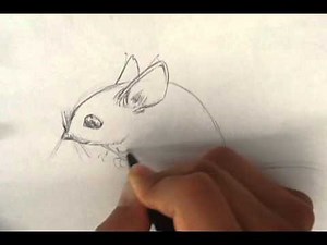 How to Draw a Mouse