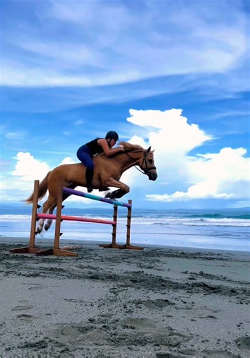 Jumping 1 Metre Bareback
