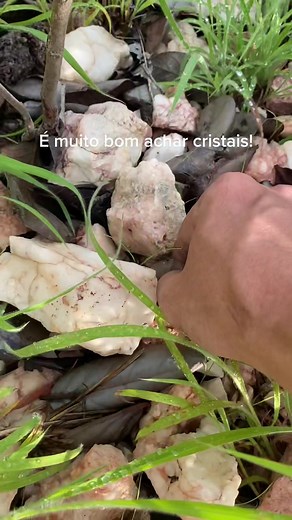 #FelizAnoNovo #fy #fypシ #cristal #crystalhunter #crystal #crystalhealing #energy #cuiaba #matogrosso #cuiaba40graus #geologo