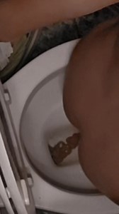 Girl pooping on toilet and reuses toilet paper