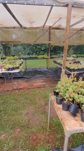 2.9K views · 95 reactions | Hi everyone,lots of rain overnight and too muddy again | Redhill Gardens | Facebook