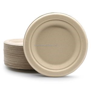 [Hot Item] Disposable Biodegradable Eco-Friendly Paper Plate Paper Disc