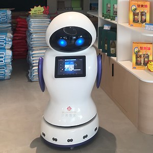 [Hot Item] Intelligent Event Guide Humanoid Robot Shopping Malls Event Lead Kaka Robot