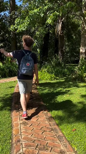 KAKAMEGA FOREST NATIONAL RESERVE 📍 18 km from Kakamega town, off Kakamega Webuye highway or Kakamega Shinyalu road. ▪️A canopy of natural beauty ▪️Wonderful to explore on foot ▪️Bird & butterfly watching ▪️Nature walks & hiking ▪️Primate tracking ▪️Rock climbing ▪️Picnicking ▪️Camping ▪️Photography #VisitWesternKenya #TwendeWestern #nature #naturephotography #naturelover #hiking #hikingadventures #hikingtrails #birdwatching | INGO Adventures