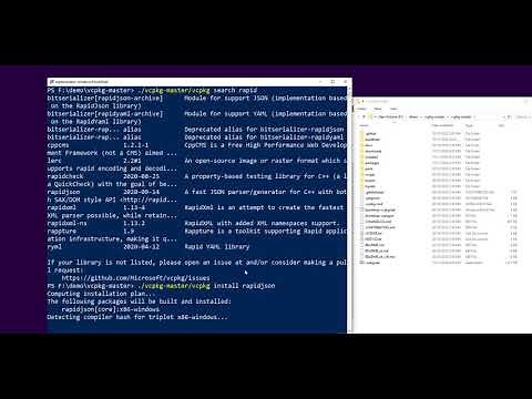 How to install rapidjson