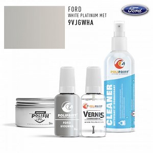 Ford Europe Edge UG WHITE PLATINUM MET  Stylo Retouche Peinture | Polipaint