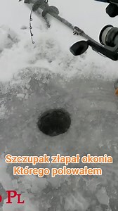 103K views · 407 reactions | Idą mrozy cze będzie łowione | Wędkarstwo PL | Facebook