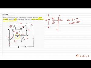 A steady current is set up in a cubic network composed of wires of equal resistance and length d...