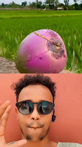 284K views · 2.2K reactions | Hab laku jaro ledahy ee iska jar ma aha | Xaynooshlaki | Facebook