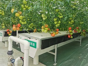 [Hot Item] Aquaponics Floating Raft Sera Aero-Pots Carbon Filter Grow Jute Fiber Hydroponic Hidroponic System Grow Room