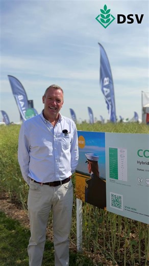 Nigel Walley talking about Commodore an exciting new oilseed rape candidate available from Agrovista | DSV UK