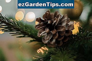 Kaip pašalinti tepalo dėmę iš betono patobulinimų 🌱 Patarimai Sodininkams - Lt.ezGardenTips.com