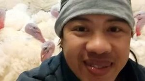 Turkey flock hilariously responds to keeper’s hip hip hooray call