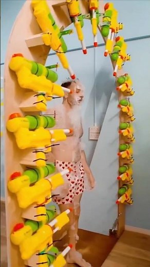 The Human Wash! 🚿