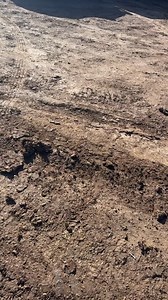 7.2K views · 24 reactions | Carril First Down Dash on Reels | Facebook