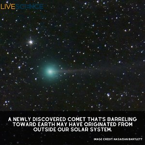51 reactions | Comet Nishimura has a hyperbolic orbit, which suggests that it may have come from outside the solar system and will likely be catapulted into interstellar space after slingshotting around the sun. Learn more  https://trib.al/x3OXWhf | LiveScience | Facebook