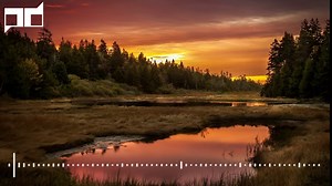 MitiS Open Window feat Anna Yvette