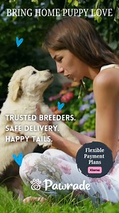7.4K views · 289 reactions | Puppy love made easy  Find your perfect match and pay later with flexible payment plans through Klarna. ✔️ Trusted breeders ✔️ Safe delivery nationwide ✔️ Health Guarantee on every puppy | Pawrade | Facebook