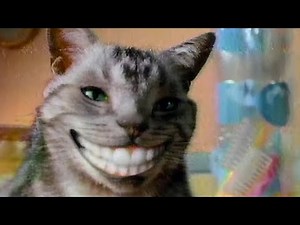 How Do You Recognize the Mature Cat? (1993)