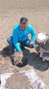 Soil sampling procedure (A field demonstration to soil sampling) | Agriculture Activities