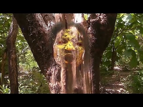 FILM BENINOIS - LA VANGEANCE DES DEMONS