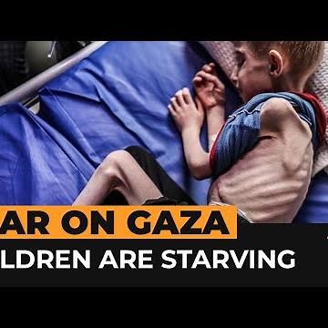 Videos of malnourished children show Gaza’s forced starvation crisis | Al Jazeera Newsfeed