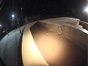 29K views · 1.4K reactions | FLIP SKATEBOARDS on Reels | Facebook