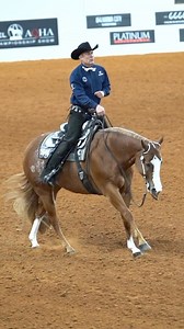 2025 AQHA World Championship Show L3 Senior Western Riding Finals (original 47 entries) Champion: Hez Blazin Trouble with Charlie Cole for Susan Wilson Reserve: Snippity Snap with Blake Weis for Two Step Stables LLC Bronze: Snap It Send It with Charlie Cole for Bill Baskin & Susan Blackburn Fourth: Call Her Daddy with Jesse Jones for Katie Shepherd Fifth: The Batchelor with Sara Simons for AK Performance Horses Sixth: My Dad Is The Best with Charlie Cole for Linday Gunderlock Smaltz Seventh: Hot