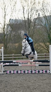 Elphick Event Ponies on Reels