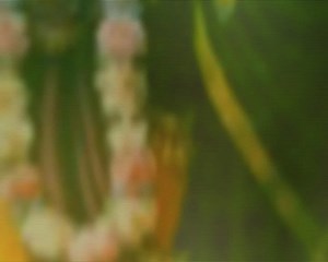 13K views · 1.6K reactions | गोपाष्टमी के पावन अवसर पर बीमार गौवंश की...