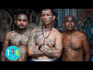 MS-13 Gang: Undercover Video of Largest Takedown in US History - The Interview Room