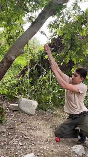 Homemade Trap Survival Camping Trap #RecyclingIdeas #SurvivalSkills #NatureSkills #LifeHacks #DIYProjects #OutdoorLife #CampingHacks #SolarExperiments #AdventureLife #TreasureHunting #CraftingIdeas #Bushcraft #MetalDetecting | Michael Davis