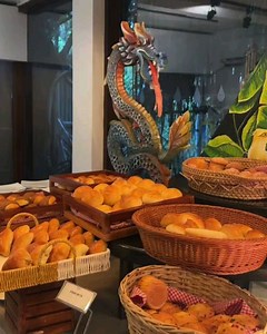 Club Hotel Dolphin on Reels