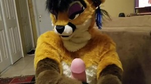 nuzzles sua protuberância