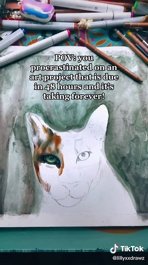 lillyxdrawzxnasa on TikTok