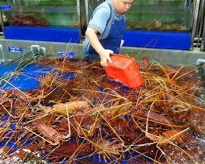 Cheapest lobster in Vietnam | Sea Pub