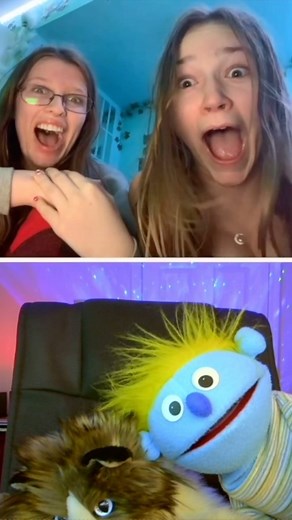 1M views · 6.4K reactions | BEST OF Comedy Cat 2 | PeterPrankster | Facebook