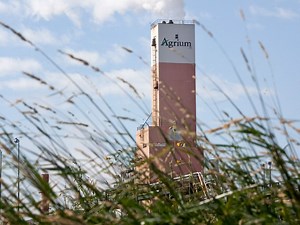 Calgary-based fertilizer producer Agrium Inc sees Q4 profit jump to US$200 million