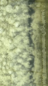 Water Foam Weir Gate Like Mega Stock Footage Video (100% Royalty-free) 3962567575 | Shutterstock