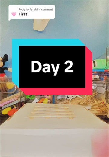 Popsicle Stick Tower on TikTok