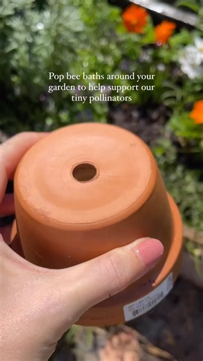 6.1K views · 85 reactions | This bee bath is super easy to make! Will...