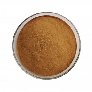 [Hot Item] Coriolus Versicolor Extract 30% Polysaccharides for Functional Food