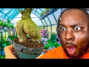 FUNNY Dark Humor we found on Reddit